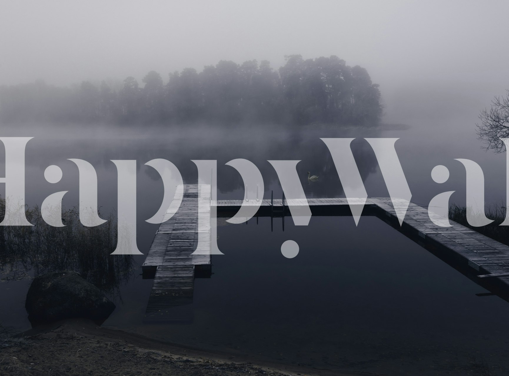 Dark reflections tapet i ett rum