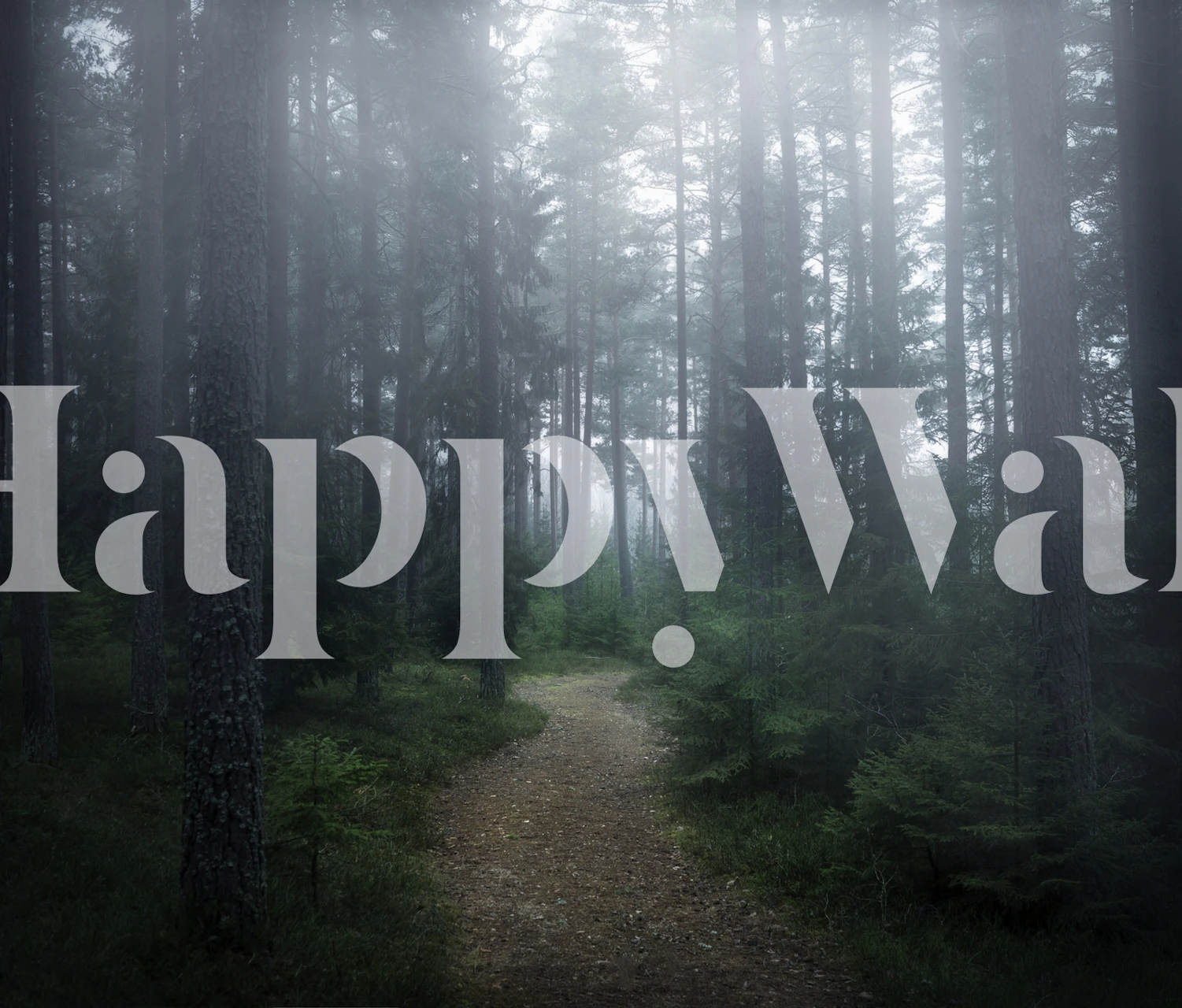 Misty forest scene with towering trees and a winding path wallpaper