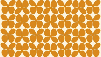 Muurschildering