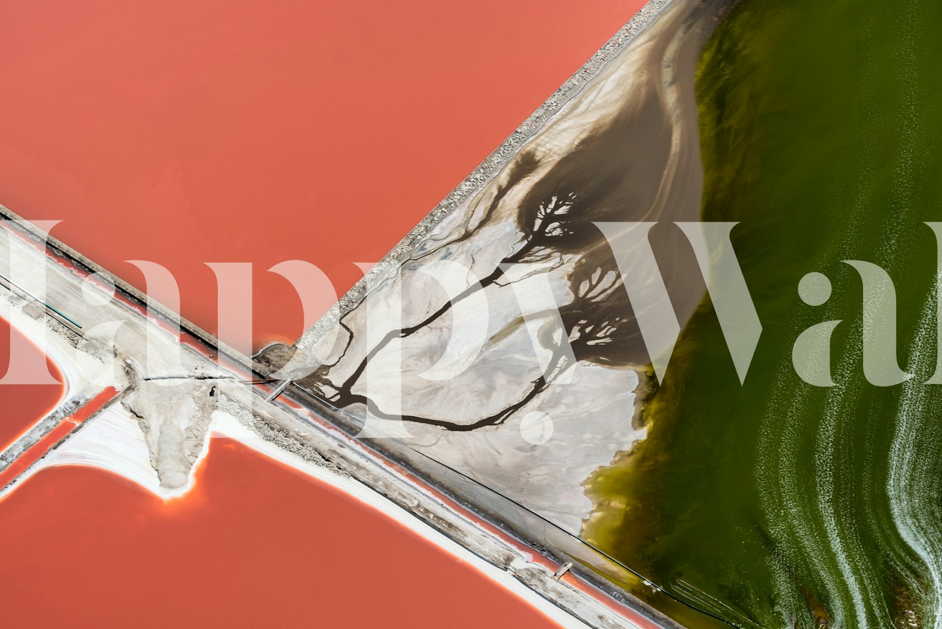 Nature-inspired wallpaper in a room