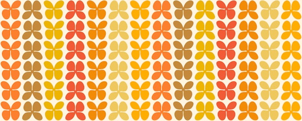 Colorful Flower Sunshine