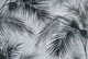 Tropical Island Palm Leaves Neutral Grey