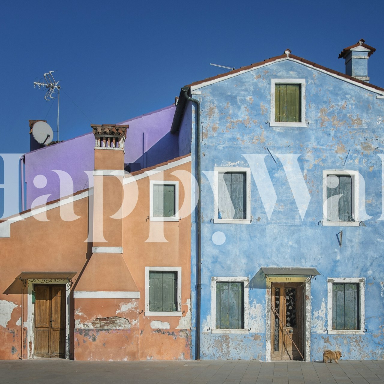 Colorful dog house design with orange, blue, and purple colors wallpaper