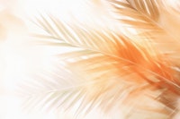 Golden Sundown In Watercolor Palm Garden carta da parati