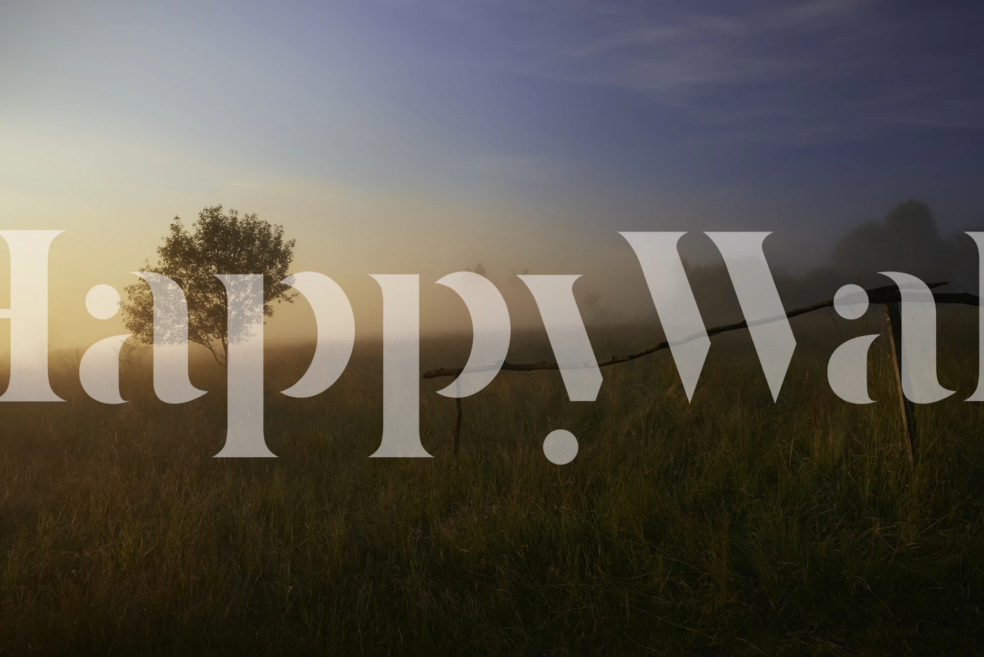 Foggy landscape with solitary tree and fence wallpaper