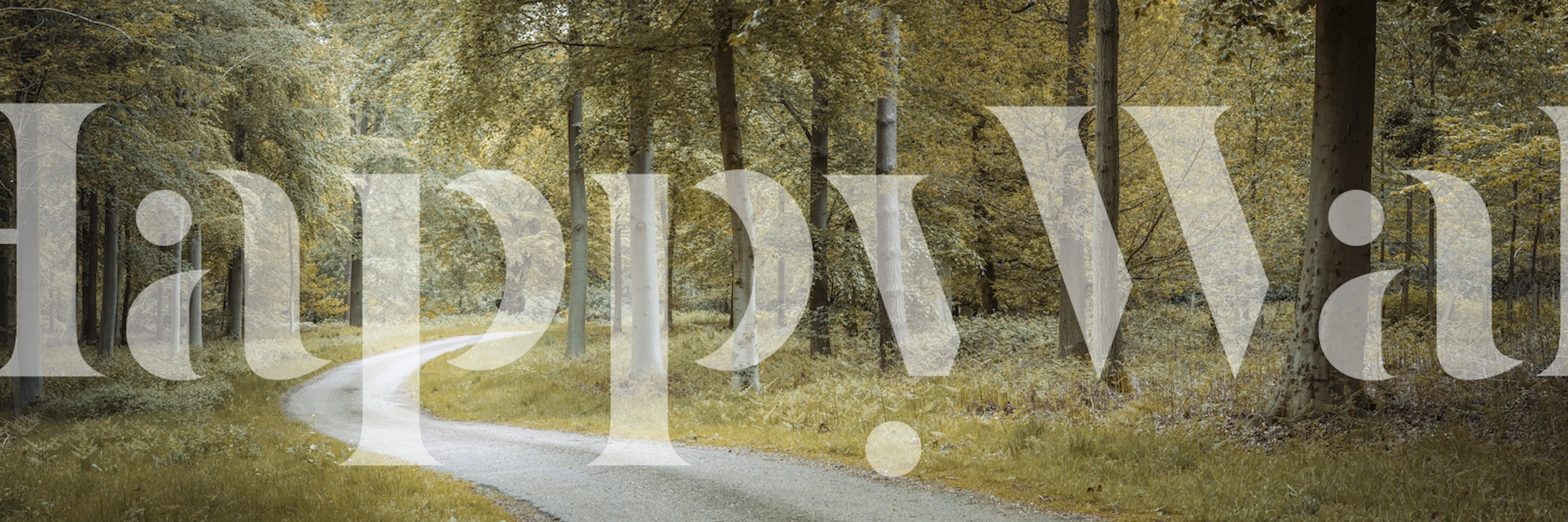 A winding forest pathway with lush green trees and brown earth wallpaper