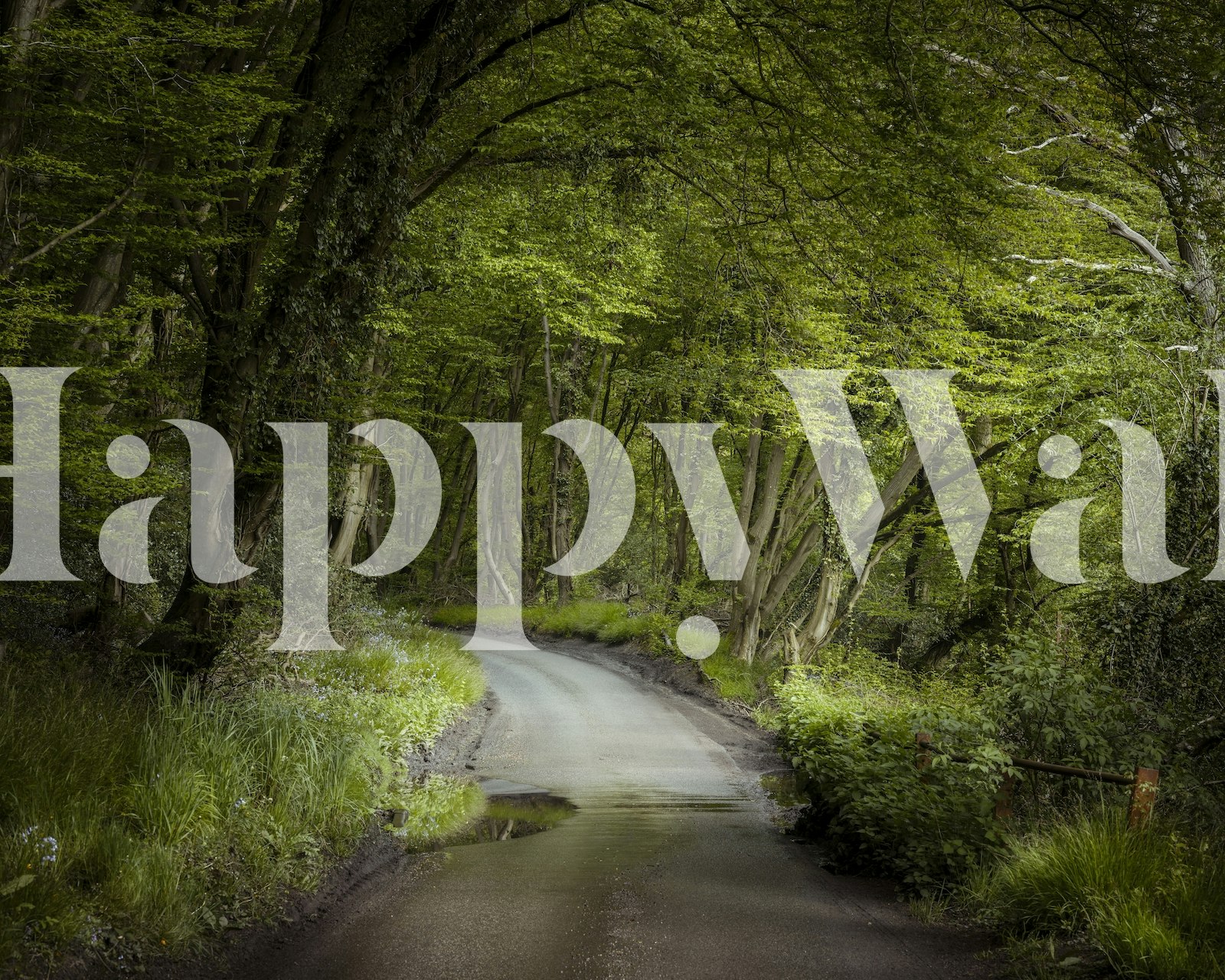 Tranquil wallpaper featuring a green passage