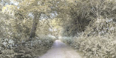 Τοιχογραφία