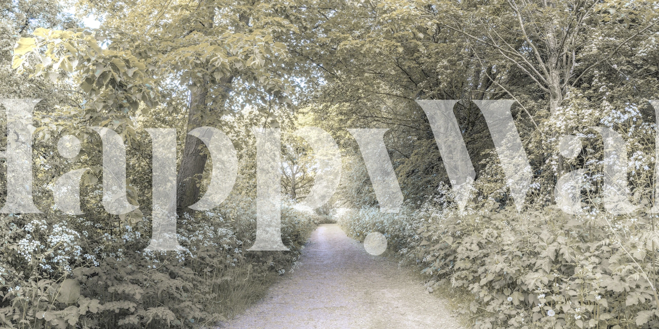 Murale murale sur un sentier forestier présentant un feuillage luxuriant et une ambiance tranquille