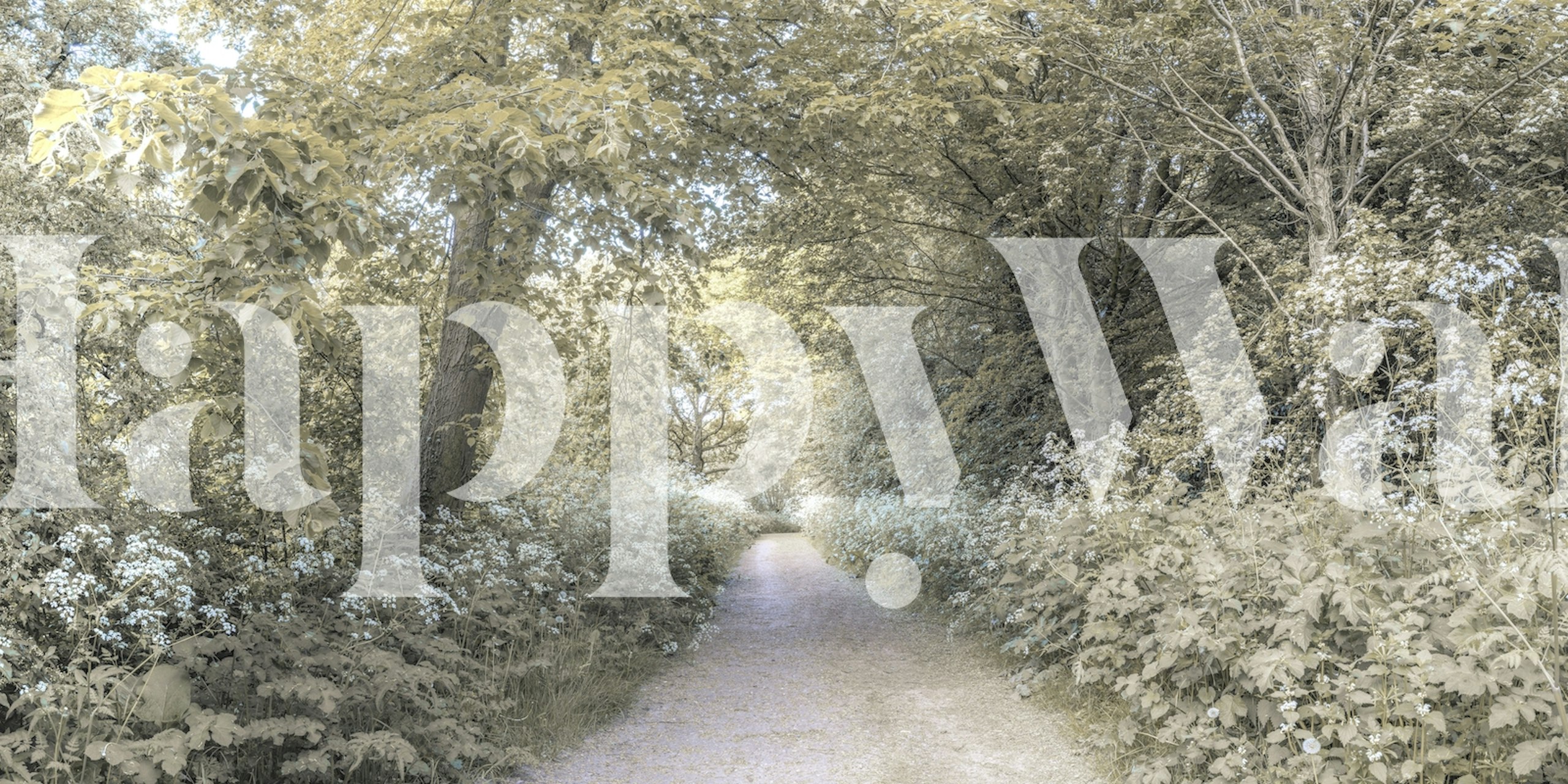 Forest pathway wall mural featuring lush foliage and tranquil ambiance