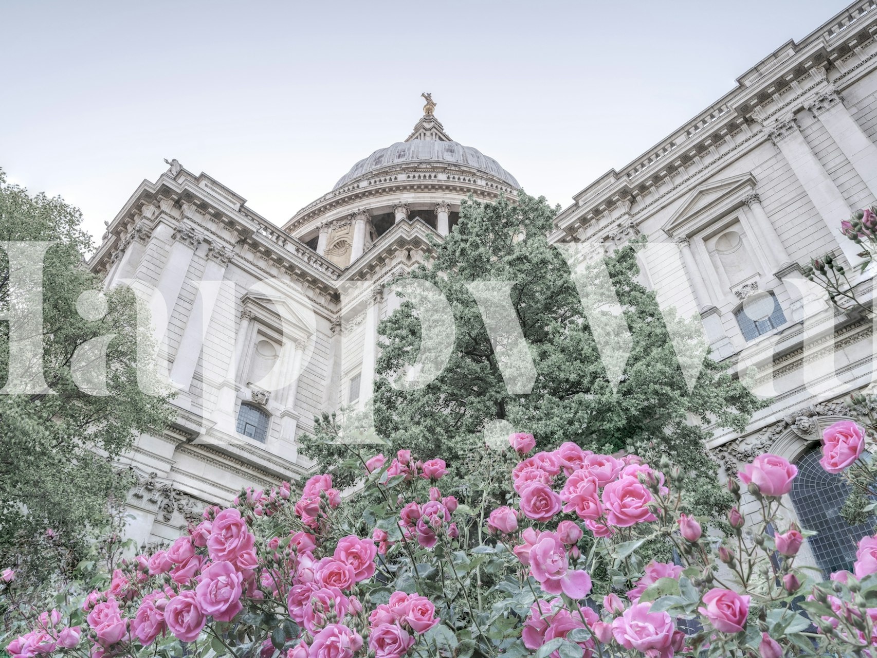 London landmark with pink roses wall mural