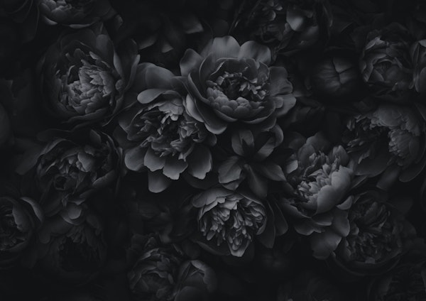 Opulent Flowers Black Grey