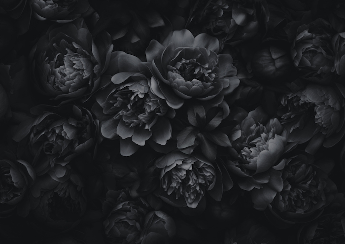 Opulent Flowers Black Grey - Happywall.com