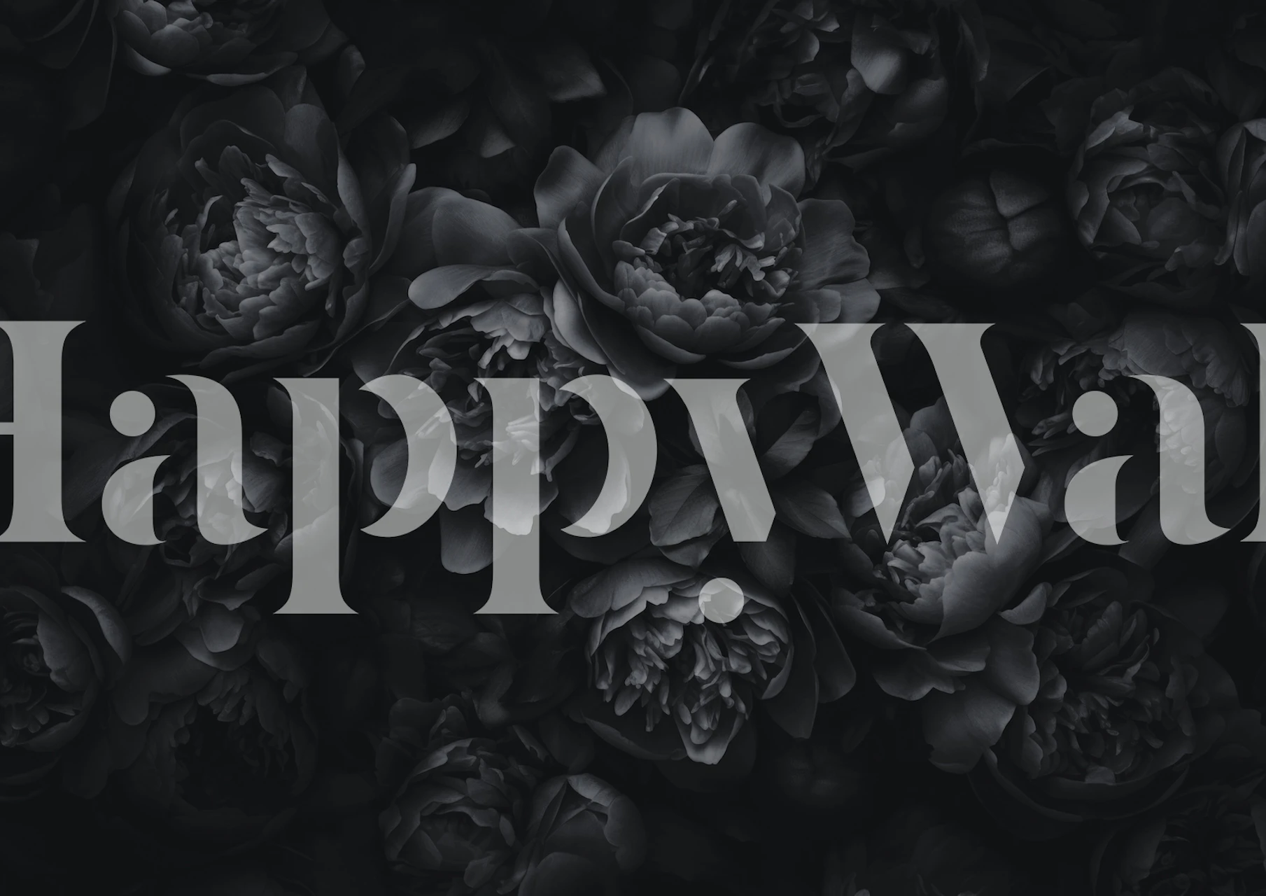 Opulent Flowers Black Grey wallpaper in a room