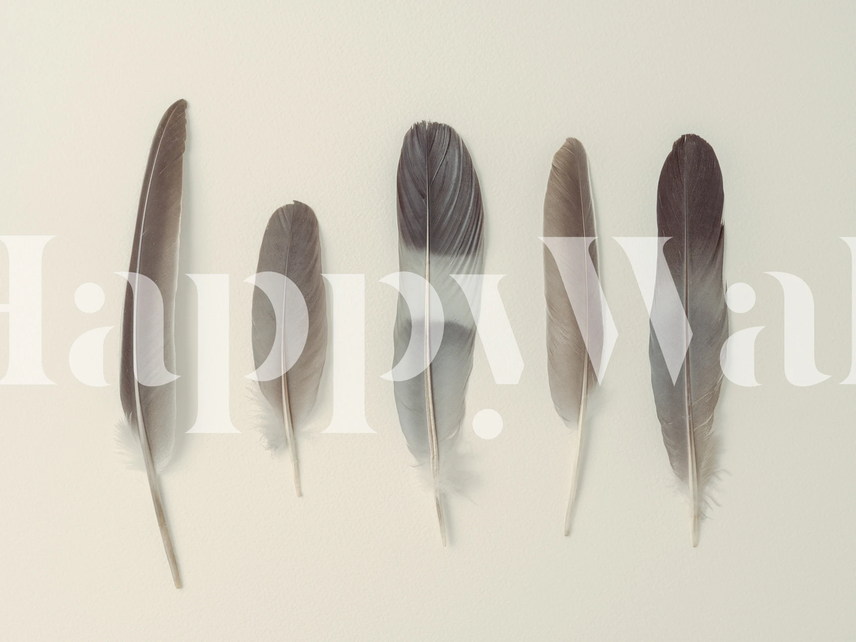 Subtle Harmony wall mural with a line of feathers in earthy tones