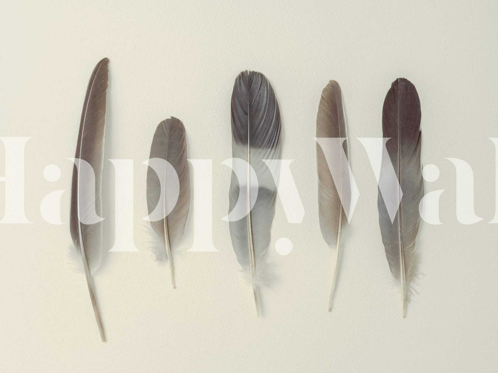 Subtle Harmony wall mural with a line of feathers in earthy tones