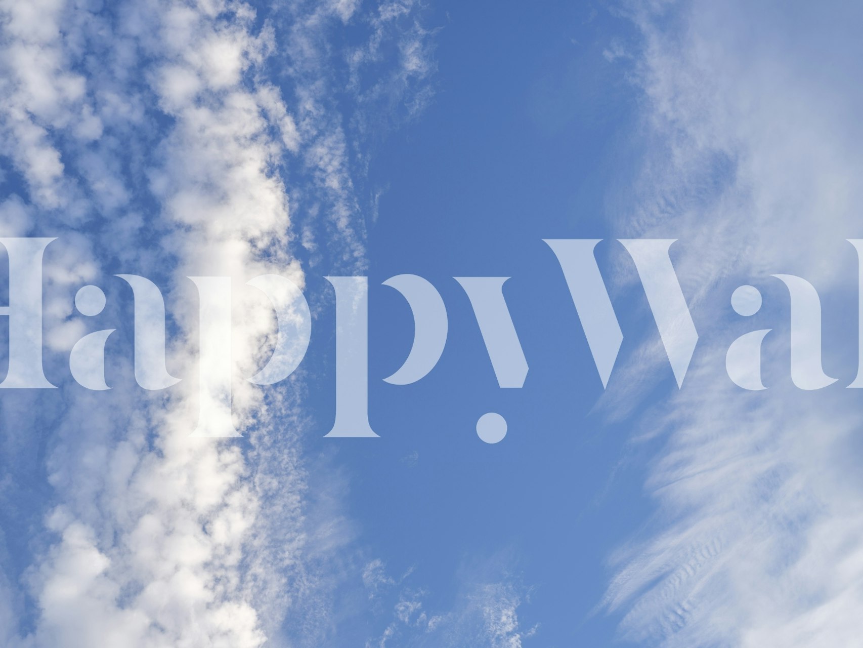 Gazing Skyward wallpaper displayed in a room