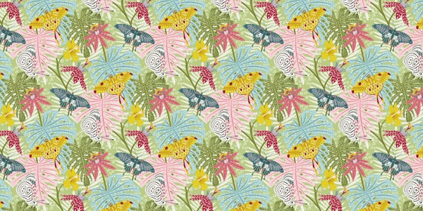 tropical butterfly and luna moth