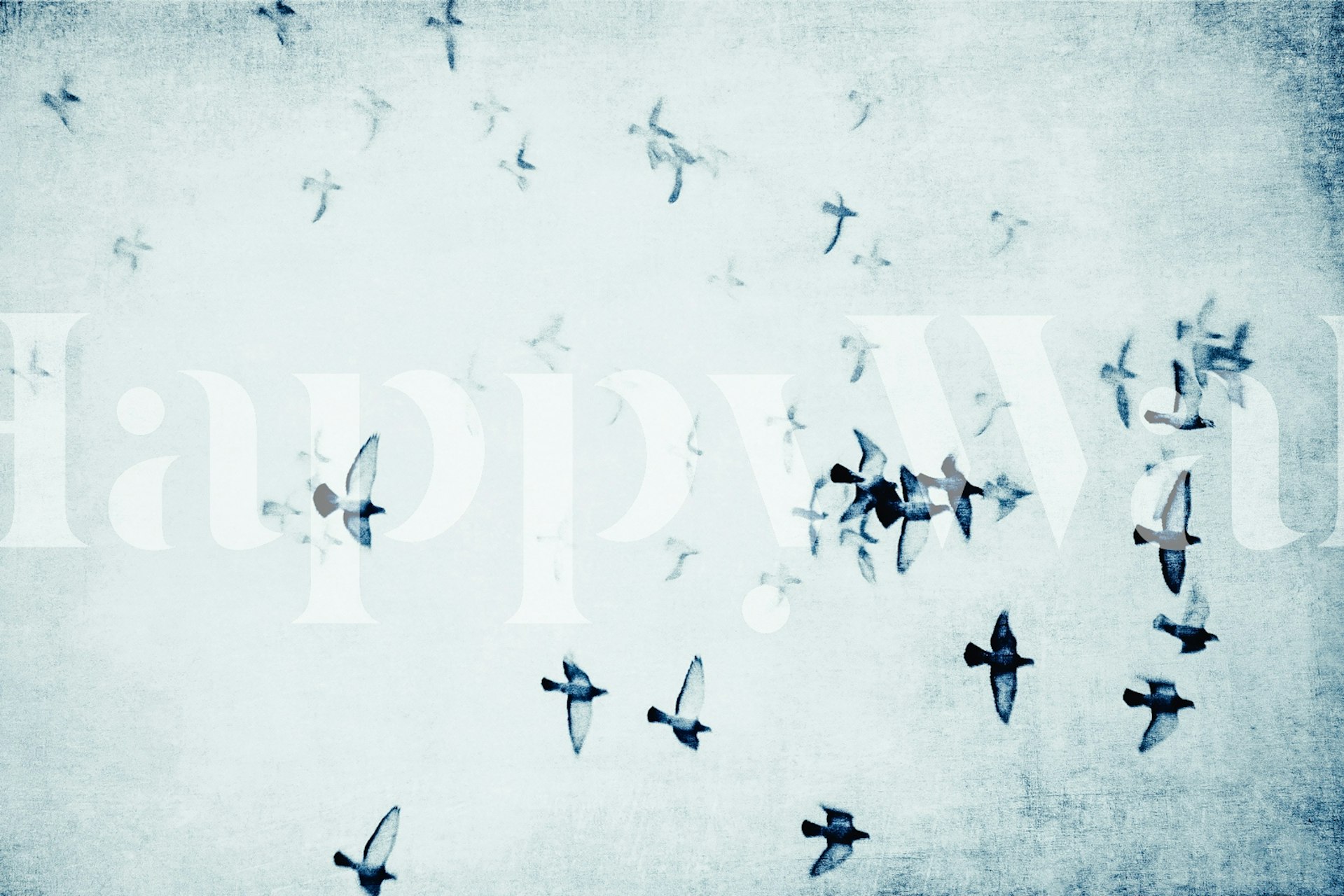 Flock of birds flying in various shades of blue wallpaper