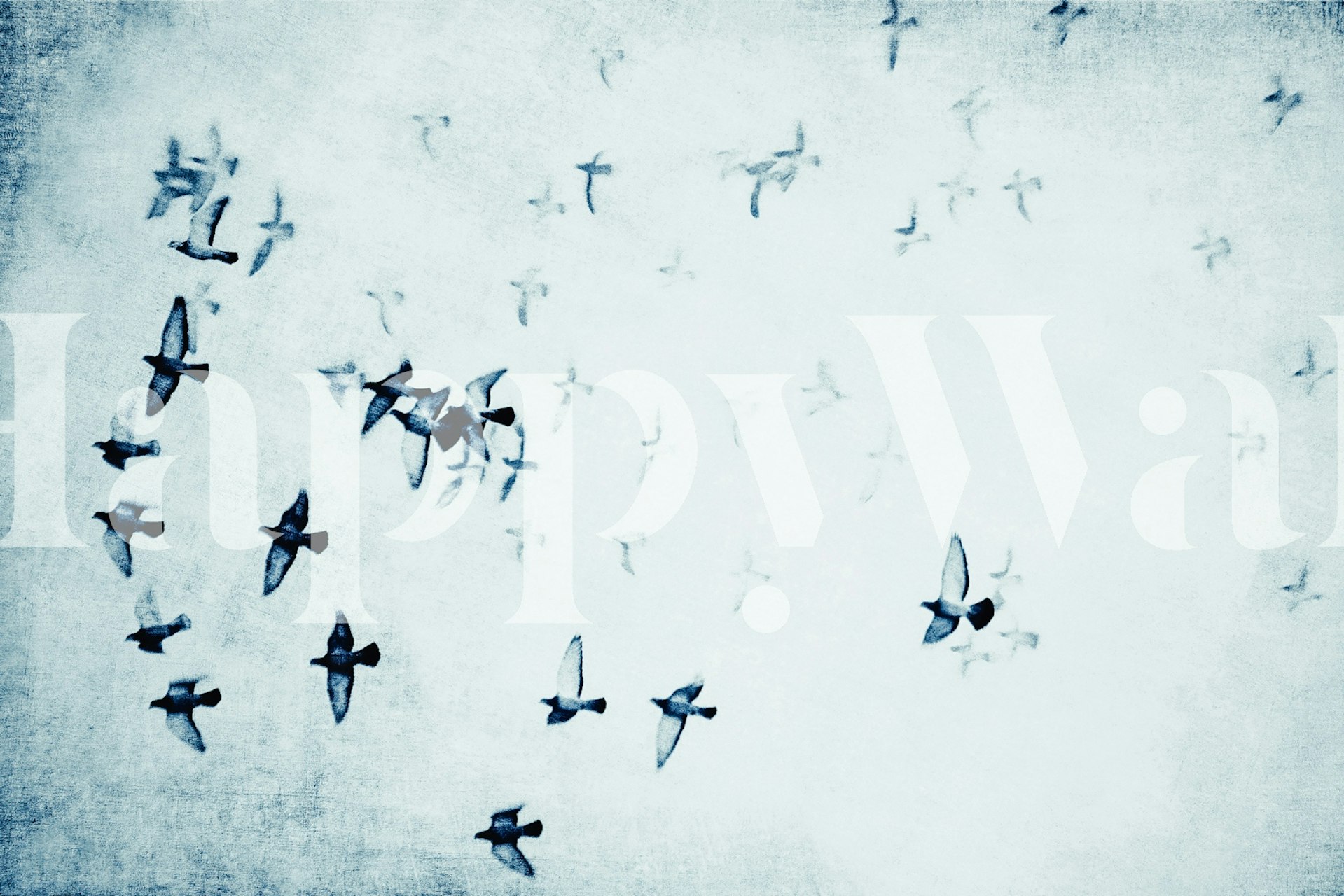 Mural ścienny Birds in Flight w moody blues