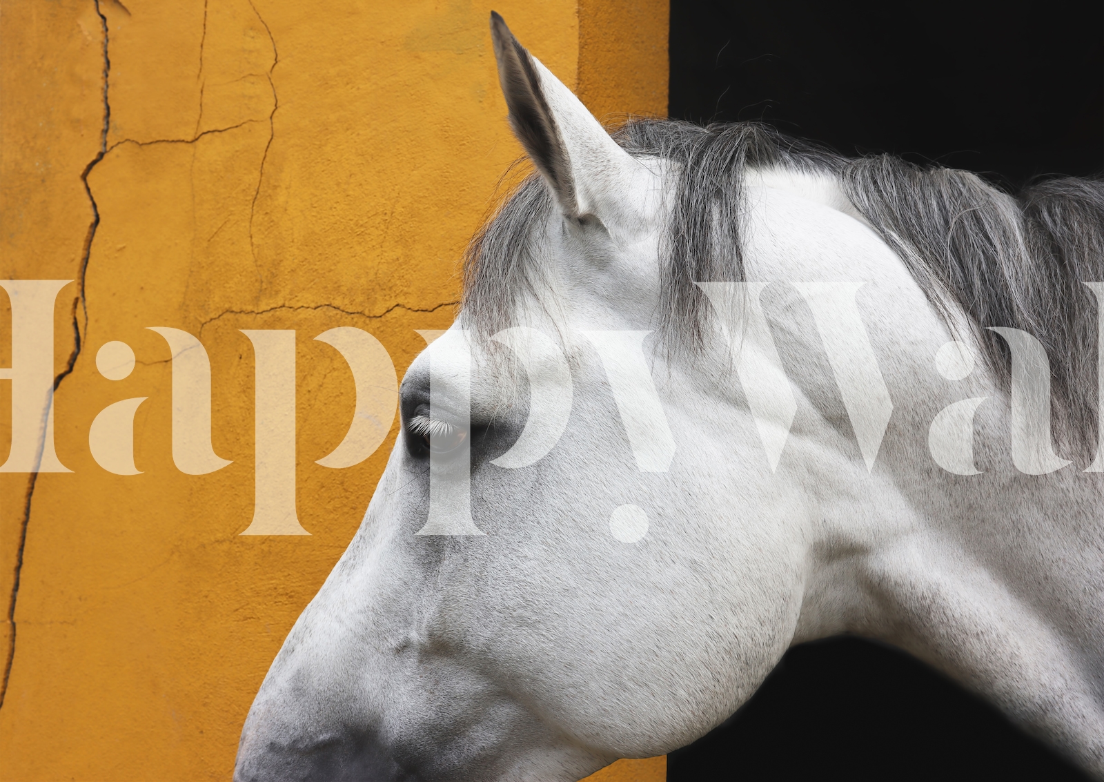 Horse White on Mustard Yellow wallpaper Free shipping Happywall