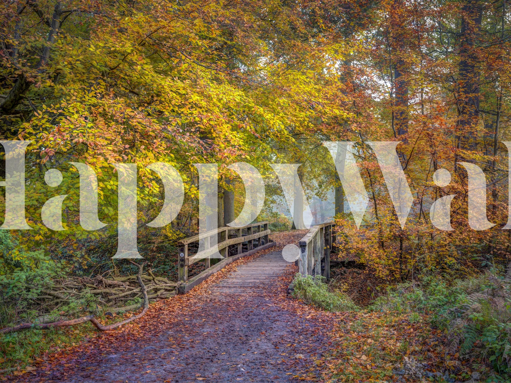 Colorful autumn trees over a wooden bridge wallpaper