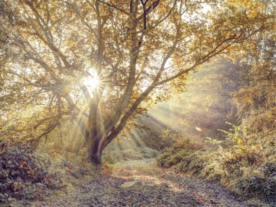 Τοιχογραφία