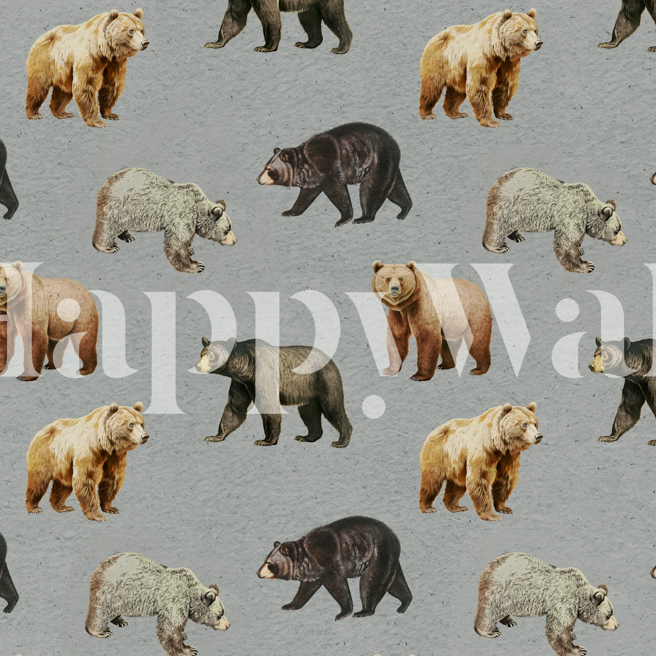 Various bears in shades of brown and grey on a grey textured background wallpaper