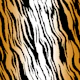 Tiger Pattern