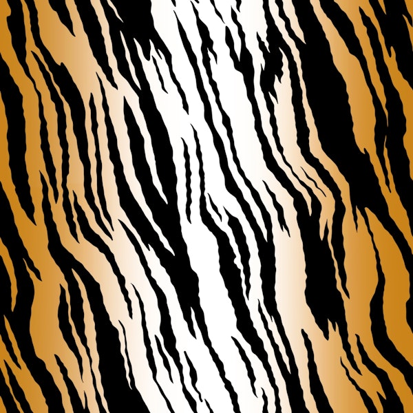 Tiger Pattern
