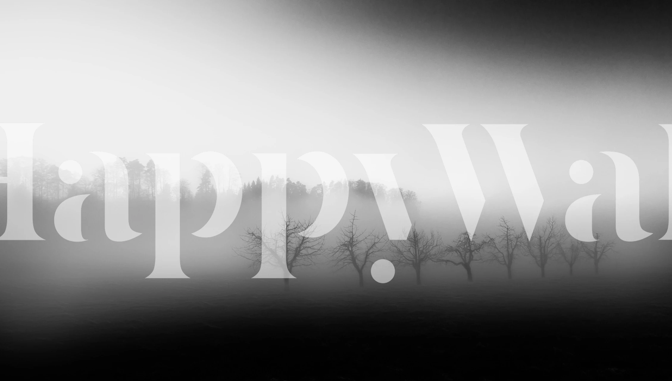 Tapeta featuring Eight trees in the mist