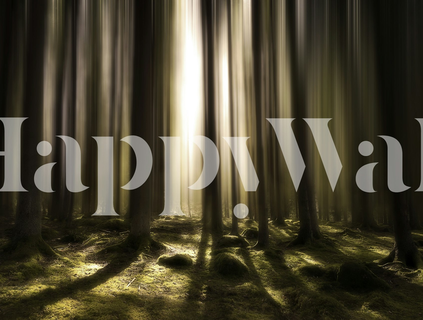 Sunlight through forest scene wallpaper