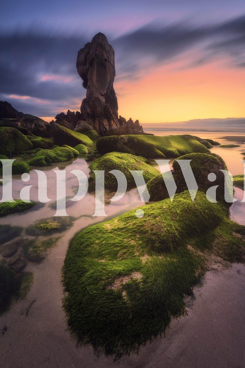 Coastal landscape wallpaper featuring blue sky, green moss, and rocks