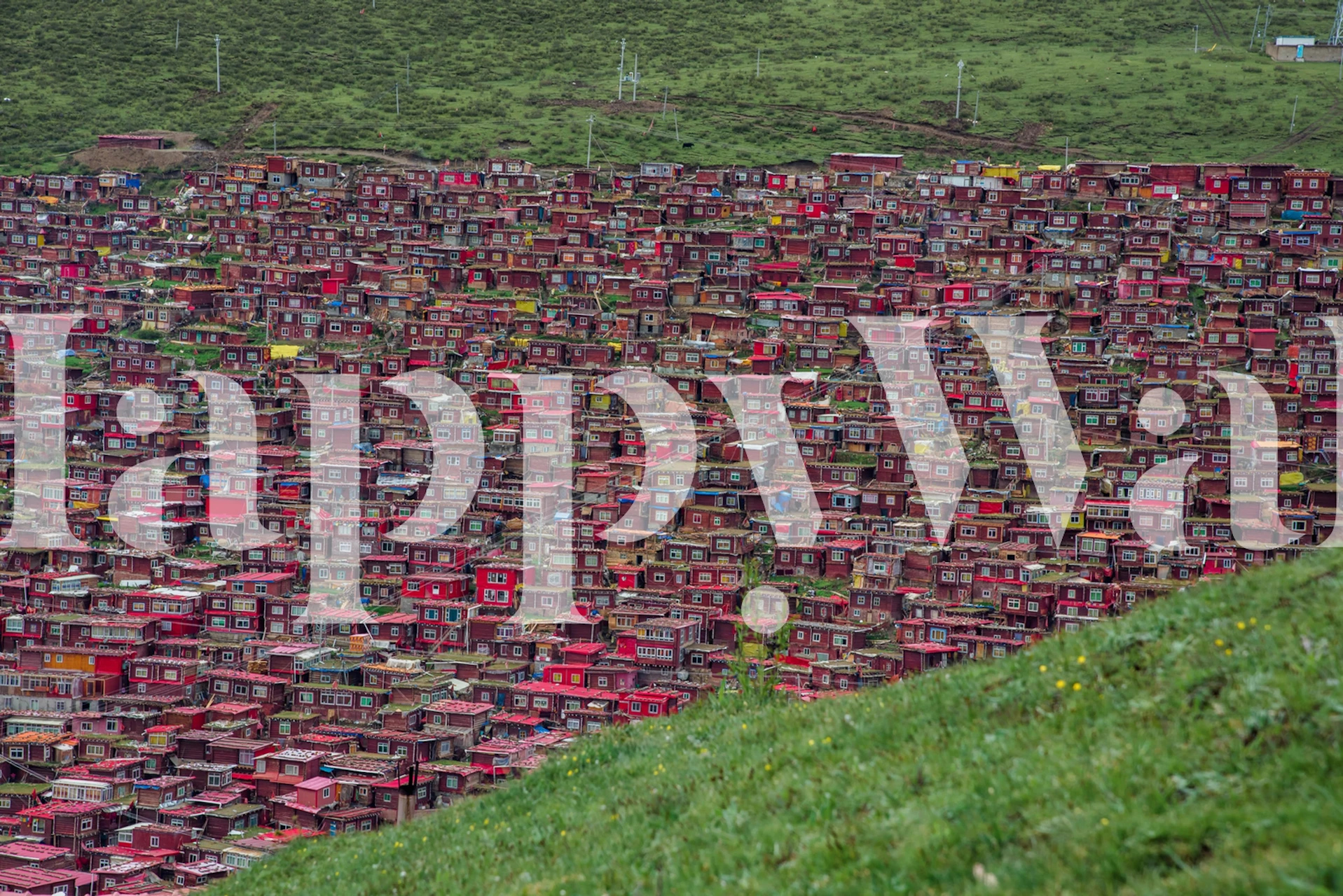 A vast expanse of colorful prayer flags in a Buddhist institute setting wall mural.