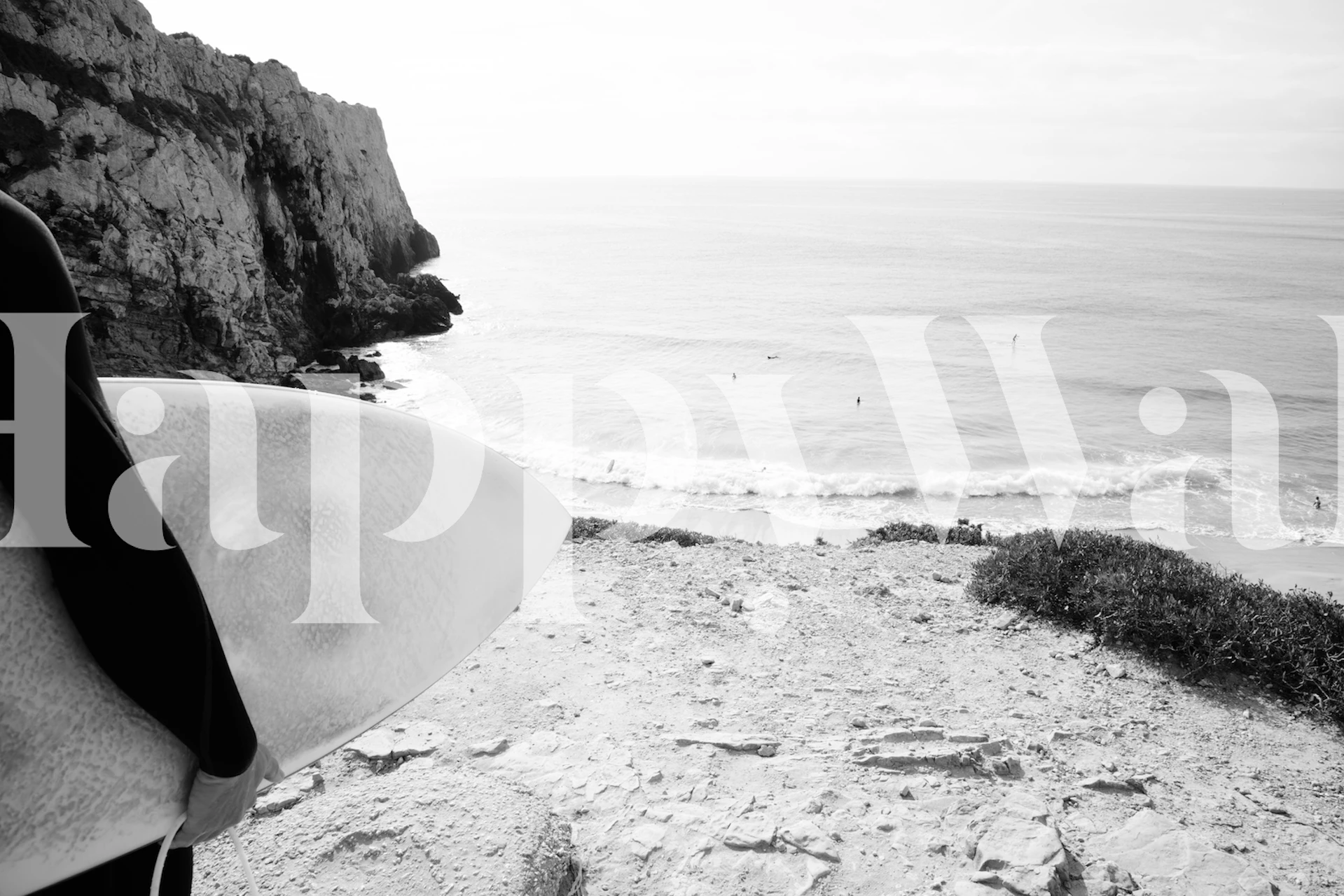 Surfers Paradise 2 wallpaper in a room