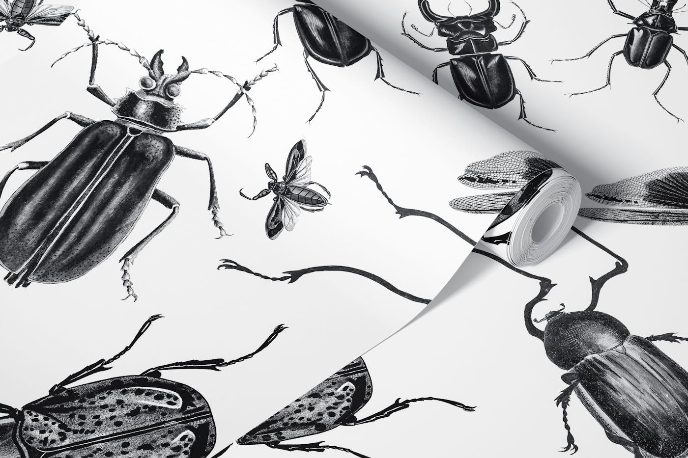 Vintage Beetles And Bugs wallpaper roll