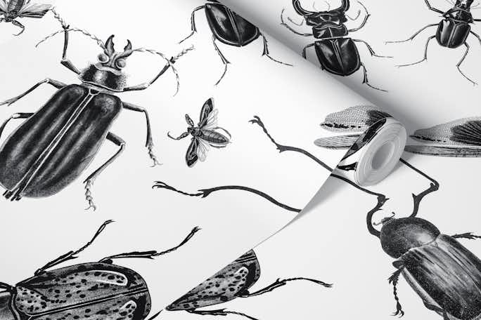 Vintage Beetles And Bugswallpaper roll