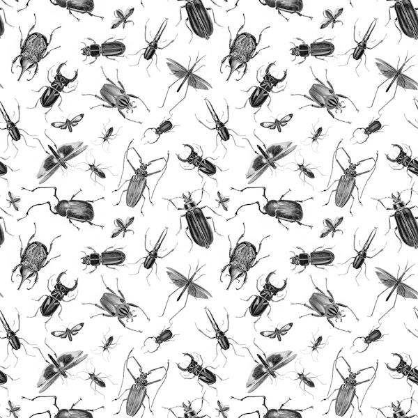 Vintage Beetles And Bugs