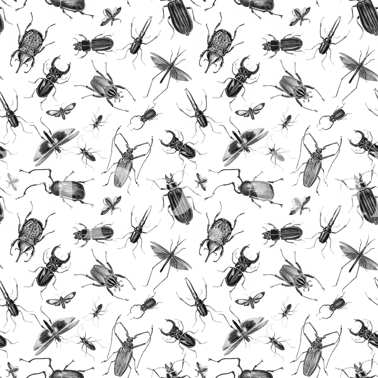 Dizajn tapeta Vintage Beetles And Bugs