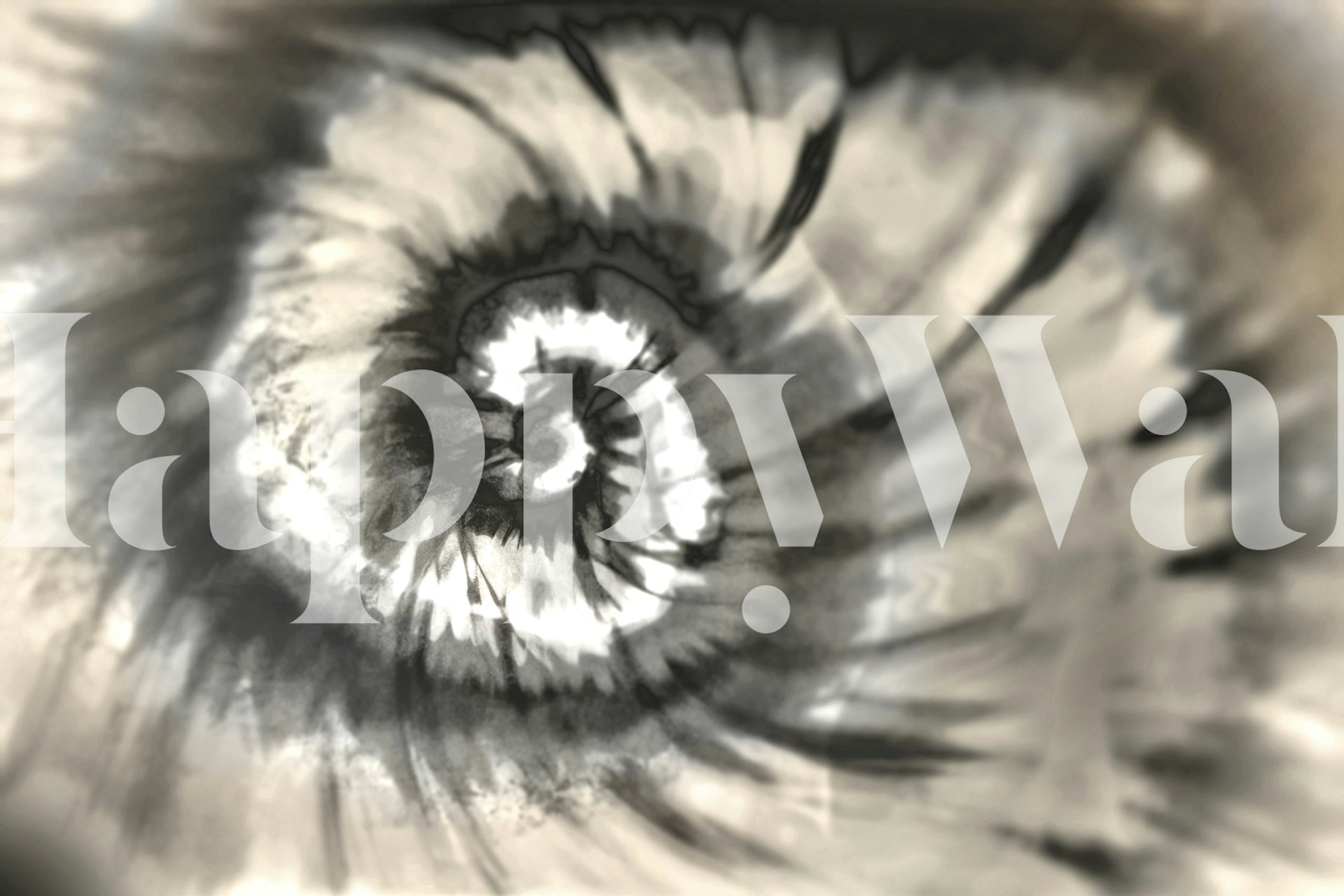 Abstract spiral pattern wall mural with soft gray tones