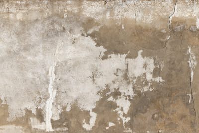 Τοιχογραφία