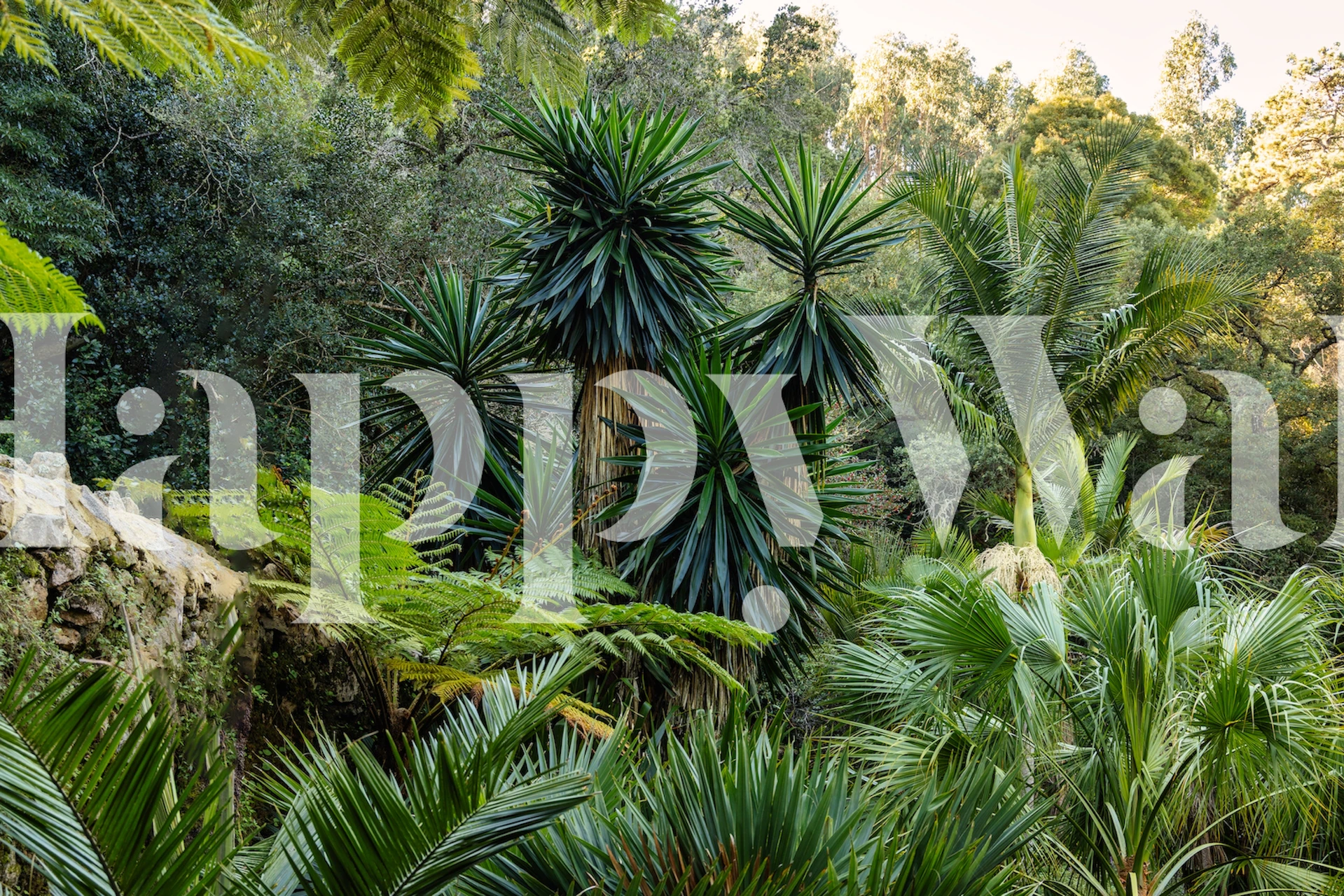 Deep jungle wallpaper in a room setting