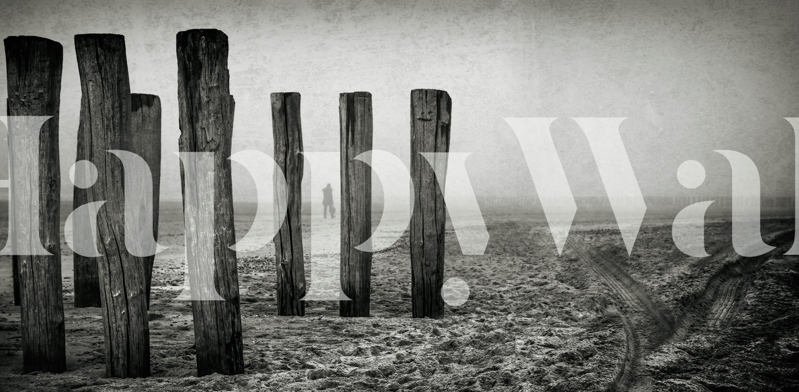 astray wallpaper displayed in a room