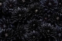 Black Mystic Gothic Flower Night Garden ταπετσαρία