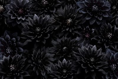 Τοιχογραφία