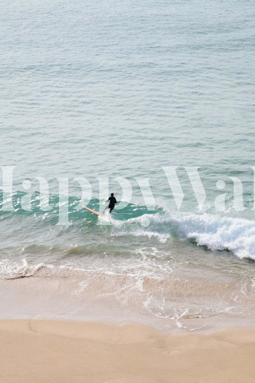 Surfers Paradise wallpaper featuring a surfer