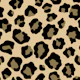 Leopard Pattern 3