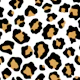 Leopard Pattern 4