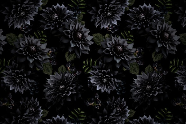 Black Mysterious Gothic Flower Night Garden