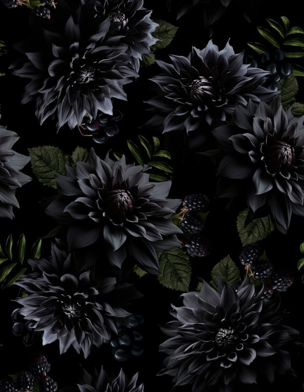 Black Mysterious Gothic Floral Night Garden
